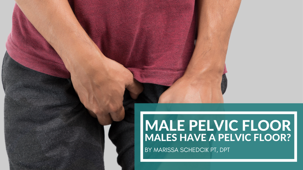 Male Pelvic Floor Males Have a Pelvic Floor?